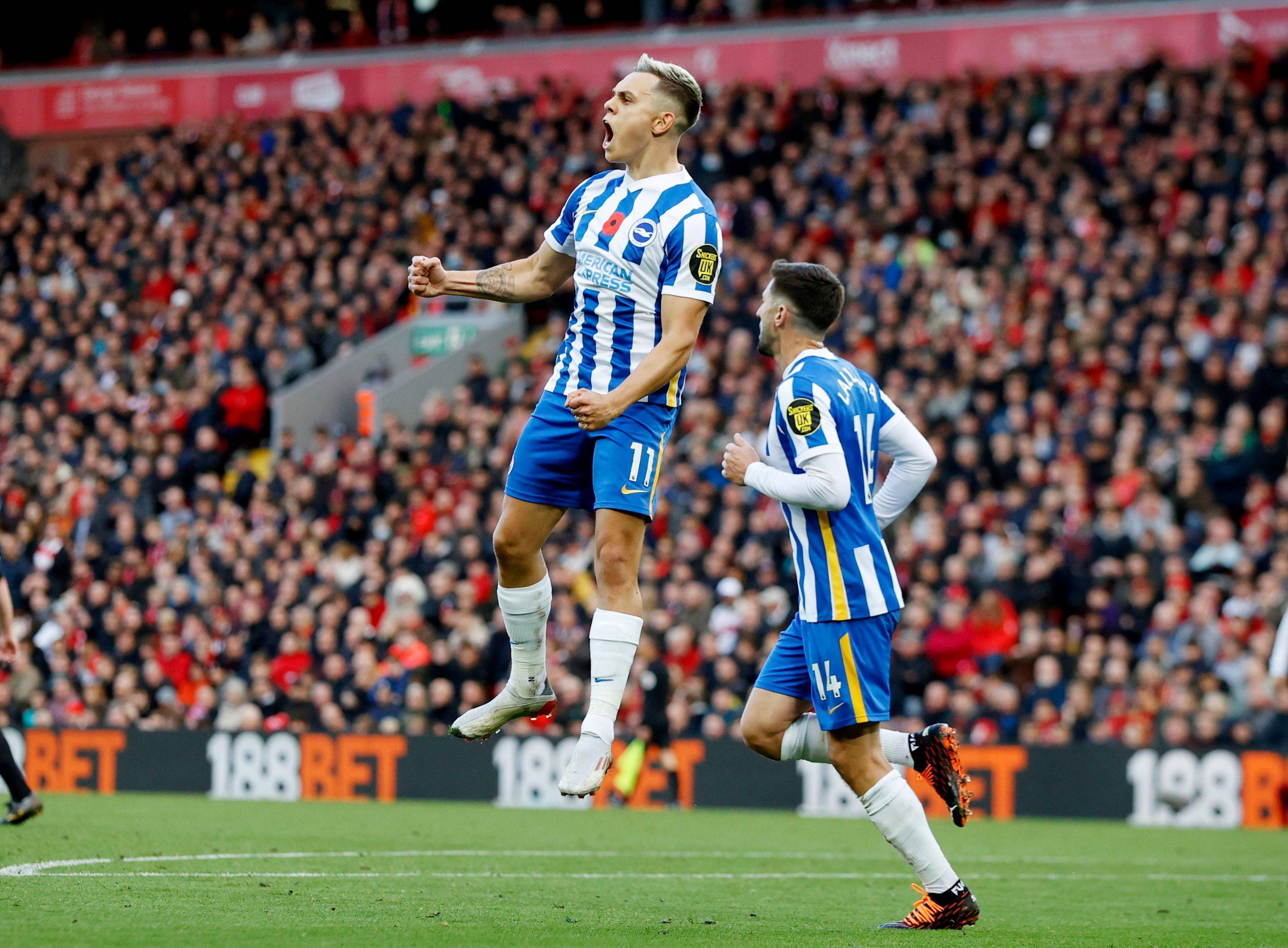 反击的迅速 反击的迅速